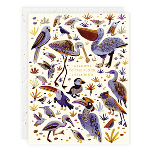 Little Bird Baby Card | Seedlings