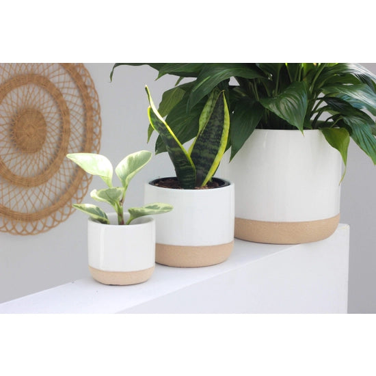 Ceramic Planter Pot White on Beige | Sprout & About