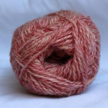 Load image into Gallery viewer, 2 Ply Jumper Weight yarn - Coral Heather