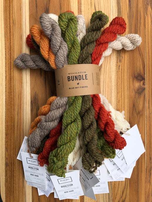 Woolstok Bundle Kit | Blue Sky Fibers