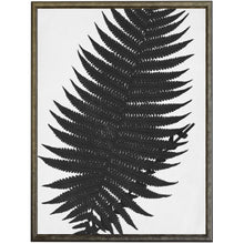 Load image into Gallery viewer, Black &amp; White Cropped Leaves Prints | Antique Curiosities