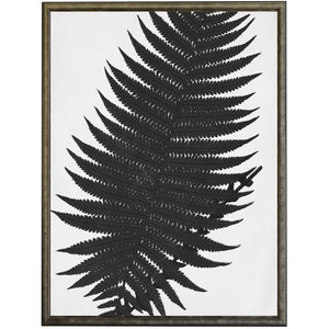 Black & White Cropped Leaves Prints | Antique Curiosities