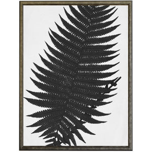 Black & White Cropped Leaves Prints | Antique Curiosities