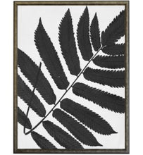 Load image into Gallery viewer, Black &amp; White Cropped Leaves Prints | Antique Curiosities