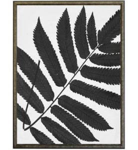 Black & White Cropped Leaves Prints | Antique Curiosities