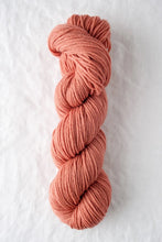 Load image into Gallery viewer, Chickadee | Quince &amp; Co.