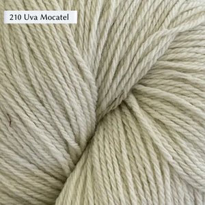 Dehesa de Barrera Merino | Wooldreamers